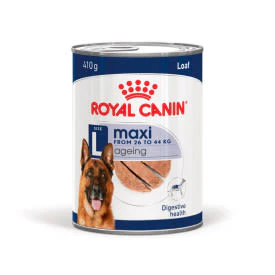 Royal Canin Maxi Ageing 5+ Senior Wet Dog Food in Loaf