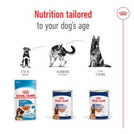 Royal Canin Maxi Ageing 5+ Senior Wet Dog Food in Loaf - Image 5