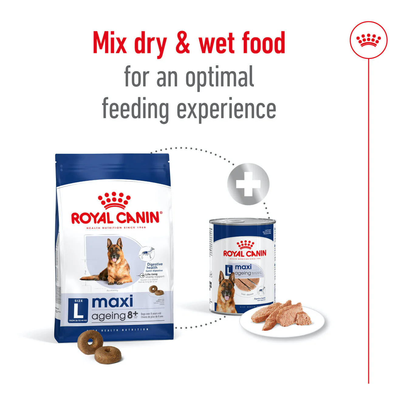 Royal Canin Maxi Ageing 8+ Dry Dog Food - Image 4