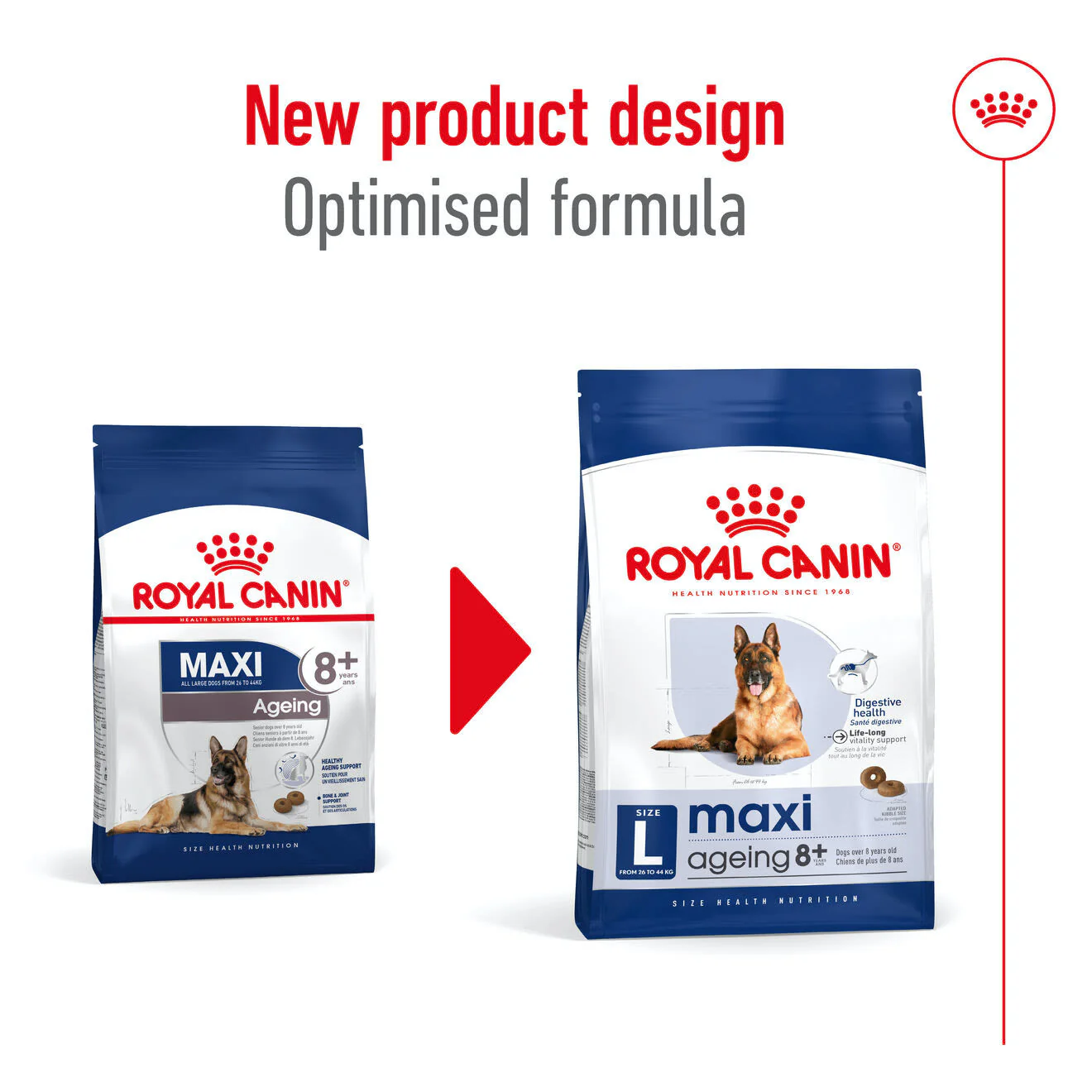 Royal Canin Maxi Ageing 8+ Dry Dog Food - Image 5
