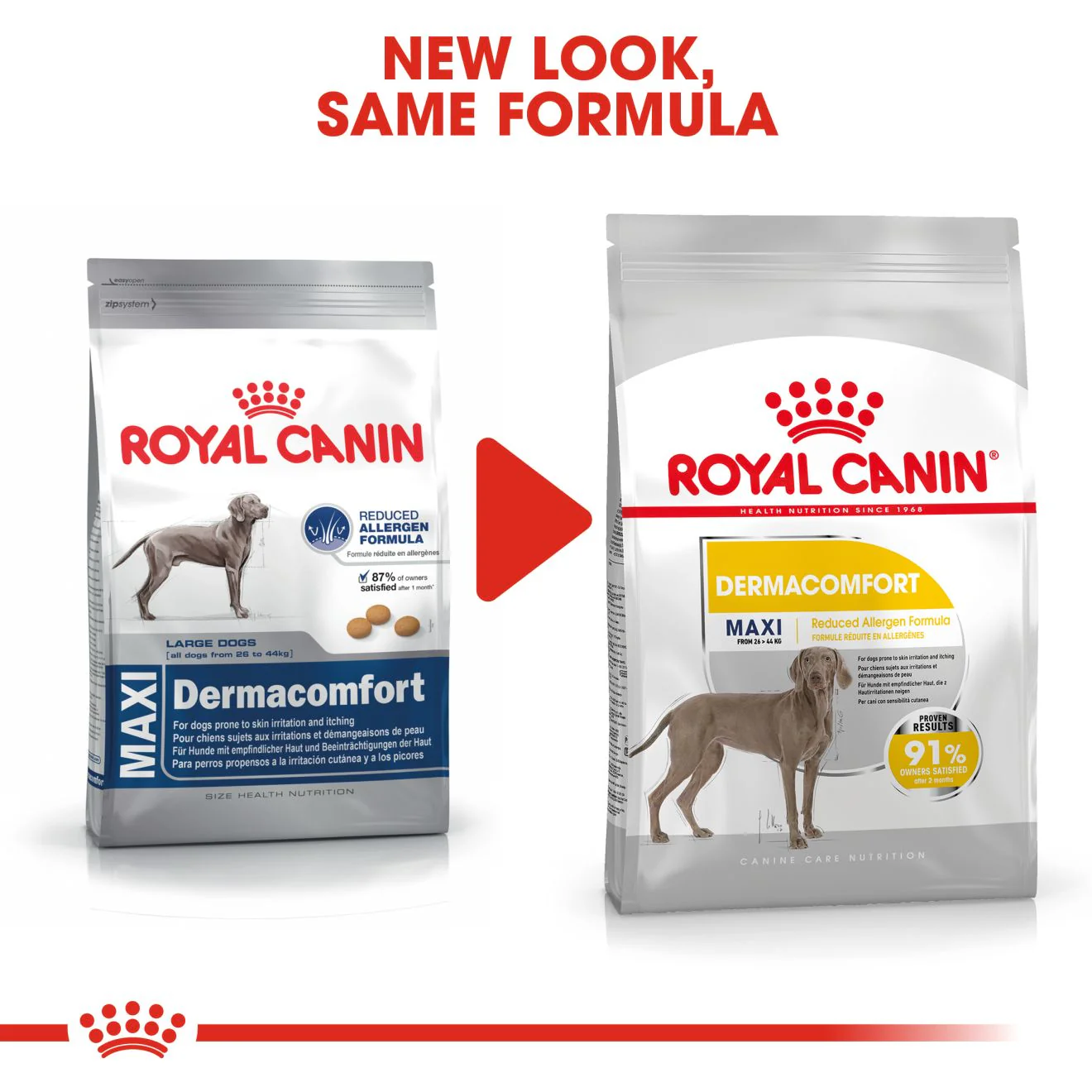 Royal Canin Maxi Dermacomfort Adult Dry Dog Food - Image 3