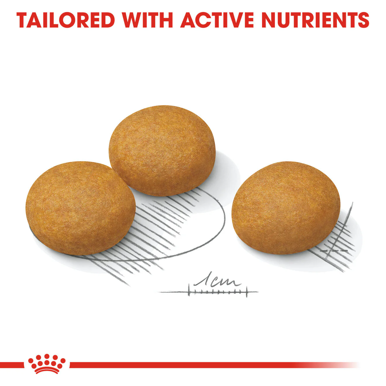 Royal Canin Maxi Dermacomfort Adult Dry Dog Food - Image 6