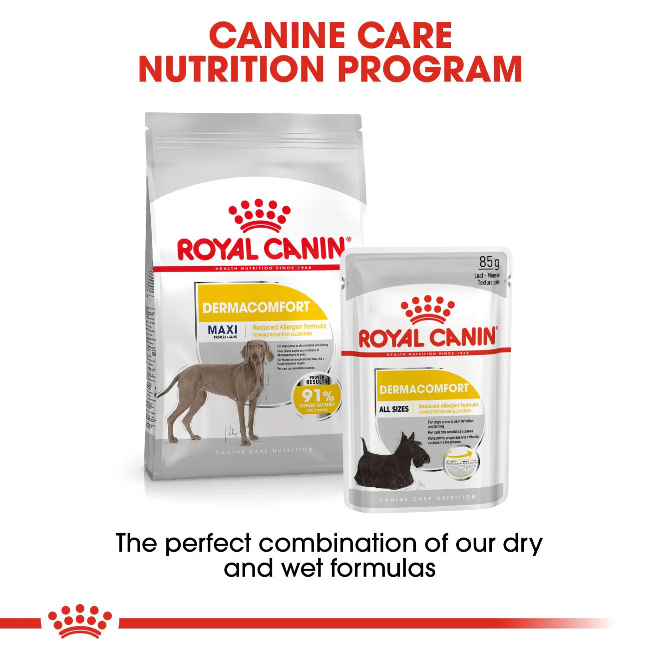 Royal Canin Maxi Dermacomfort Adult Dry Dog Food - Image 7
