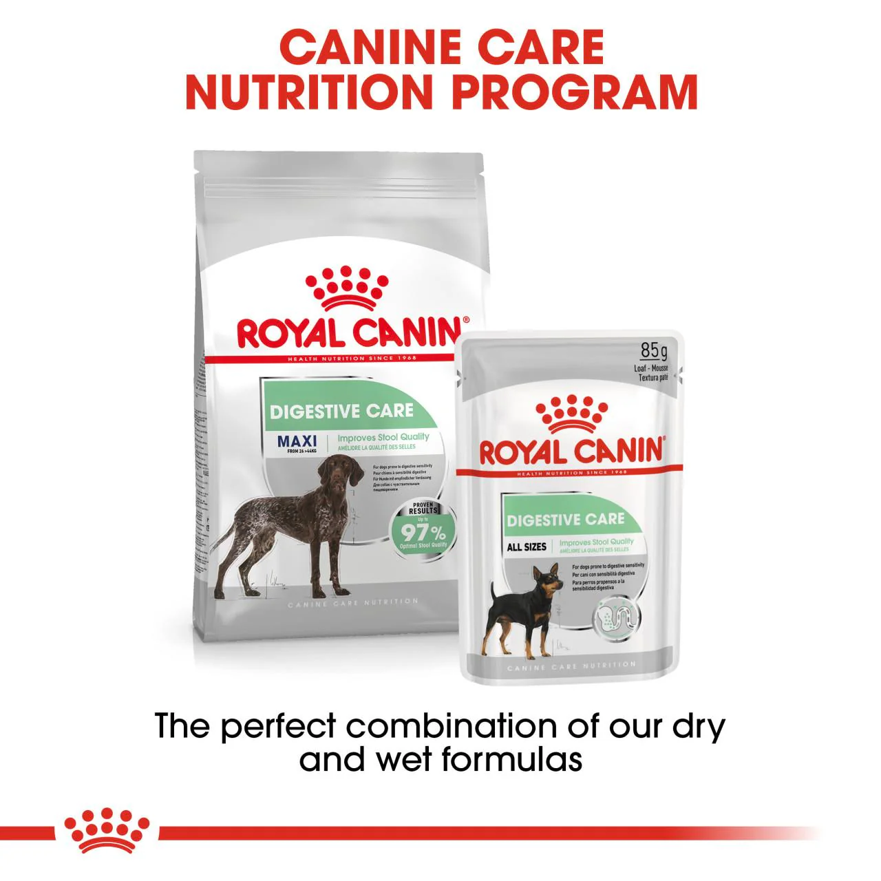 Royal Canin Maxi Digestive Care Adult Dry Dog Food - Image 6