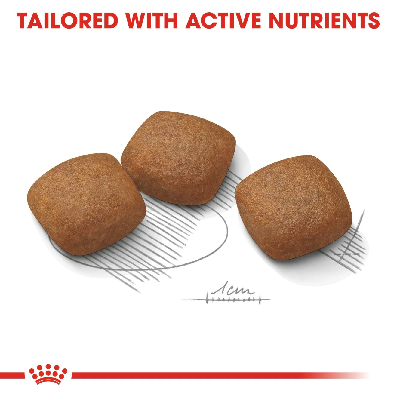 Royal Canin Maxi Joint Care Adult Dry Dog Food - Image 6