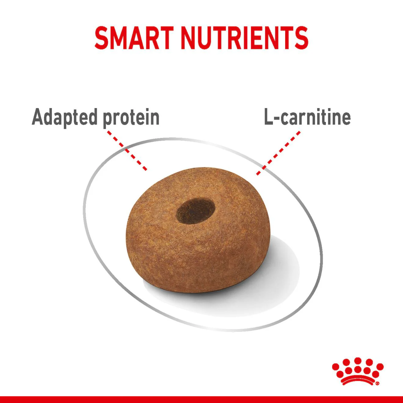 Royal Canin Maxi Light Weight Care Adult Dry Dog Food - Image 5
