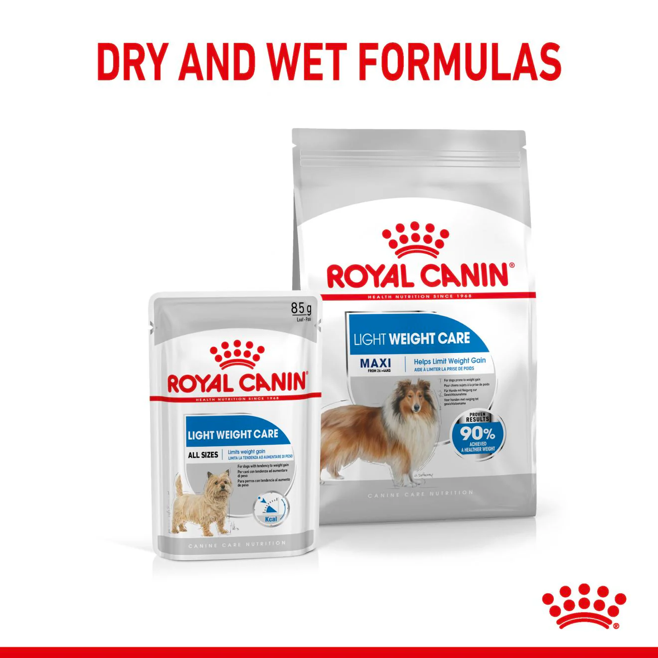 Royal Canin Maxi Light Weight Care Adult Dry Dog Food - Image 6