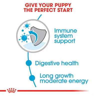 Royal Canin Maxi Puppy Dry Dog Food - Image 5