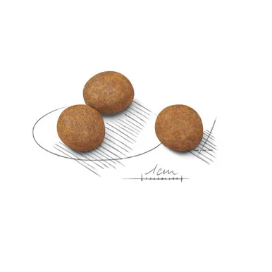 Royal Canin Maxi Puppy Dry Dog Food - Image 8