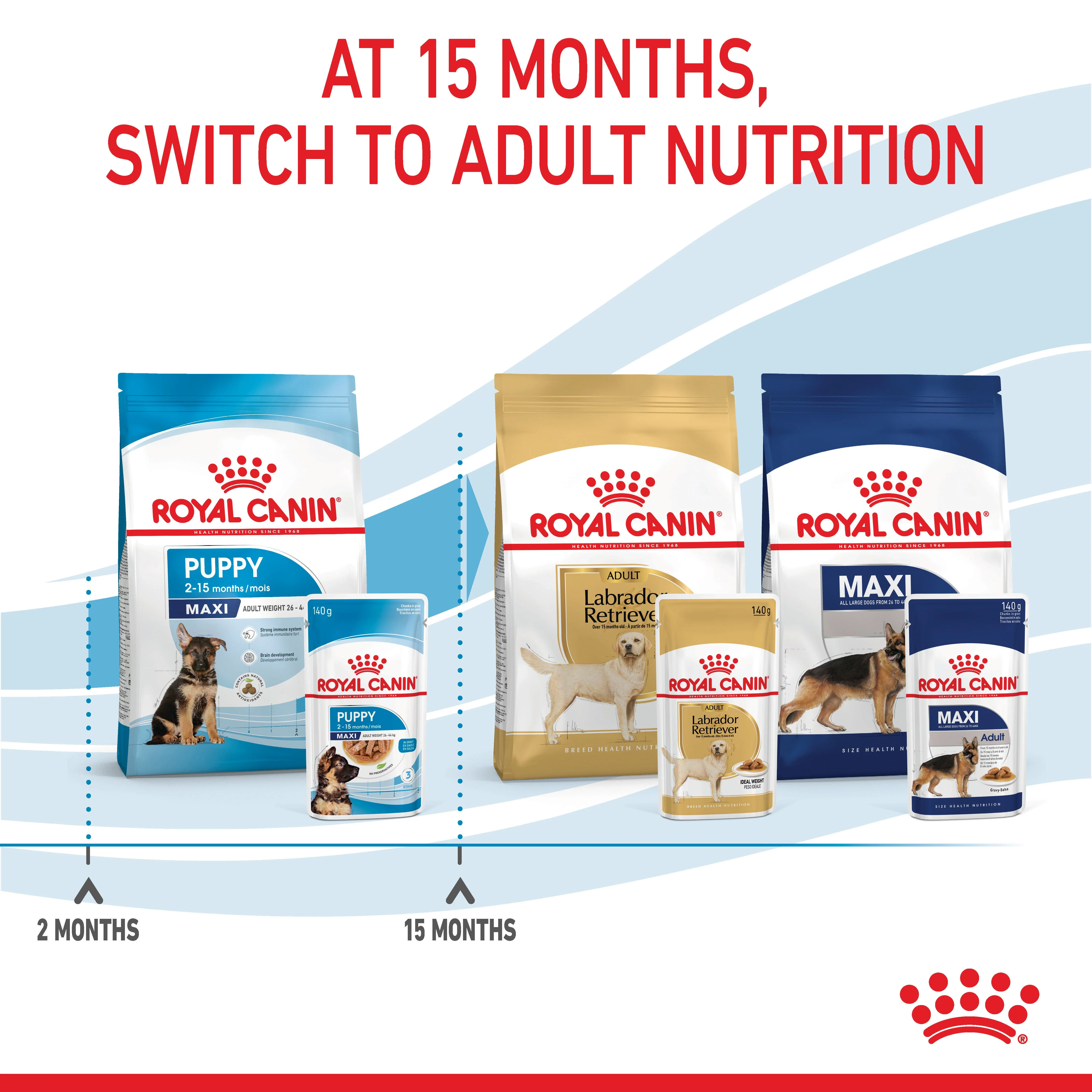 Royal Canin Maxi Puppy Wet Dog Food - Chunks in Gravy - Image 10