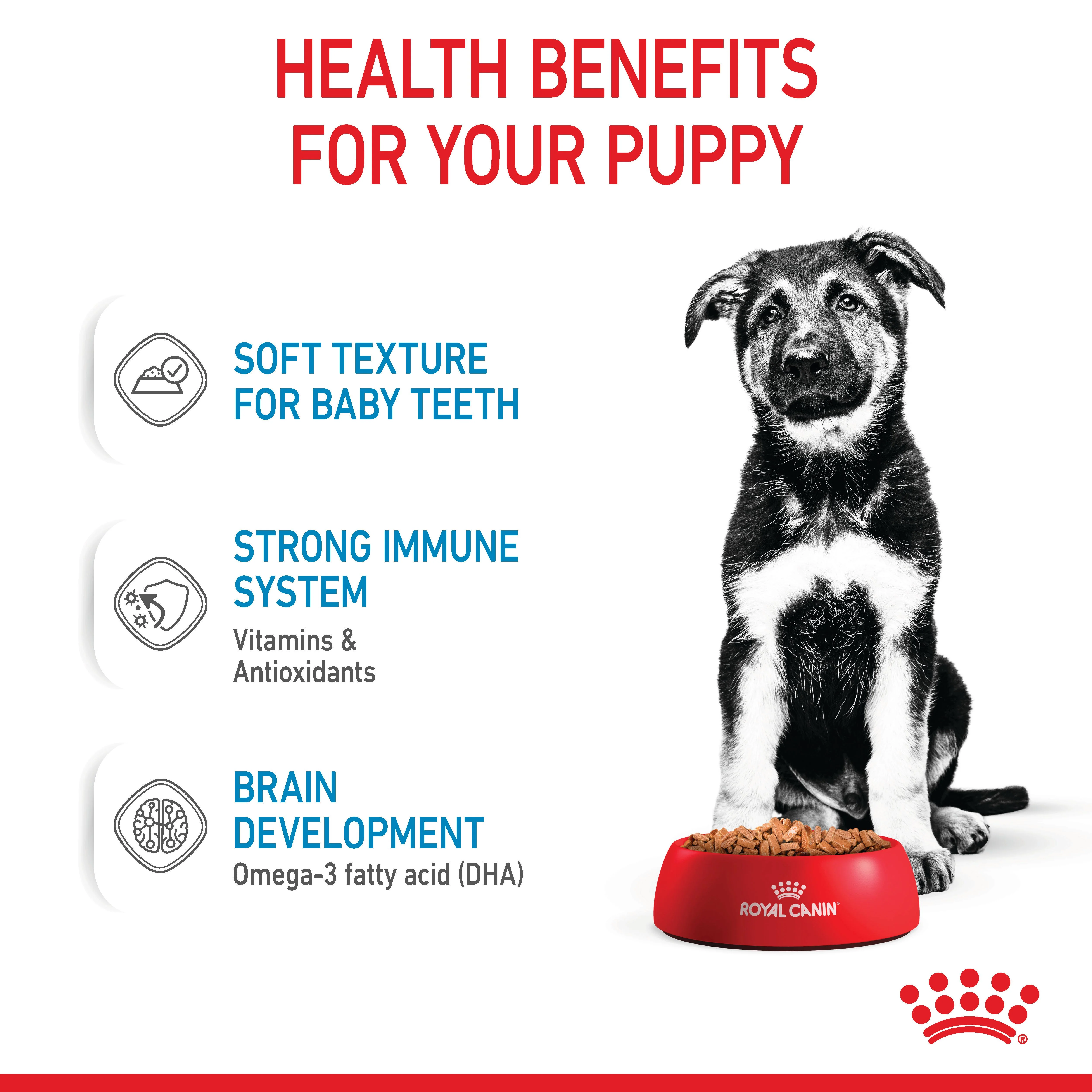 Royal Canin Maxi Puppy Wet Dog Food - Chunks in Gravy - Image 6