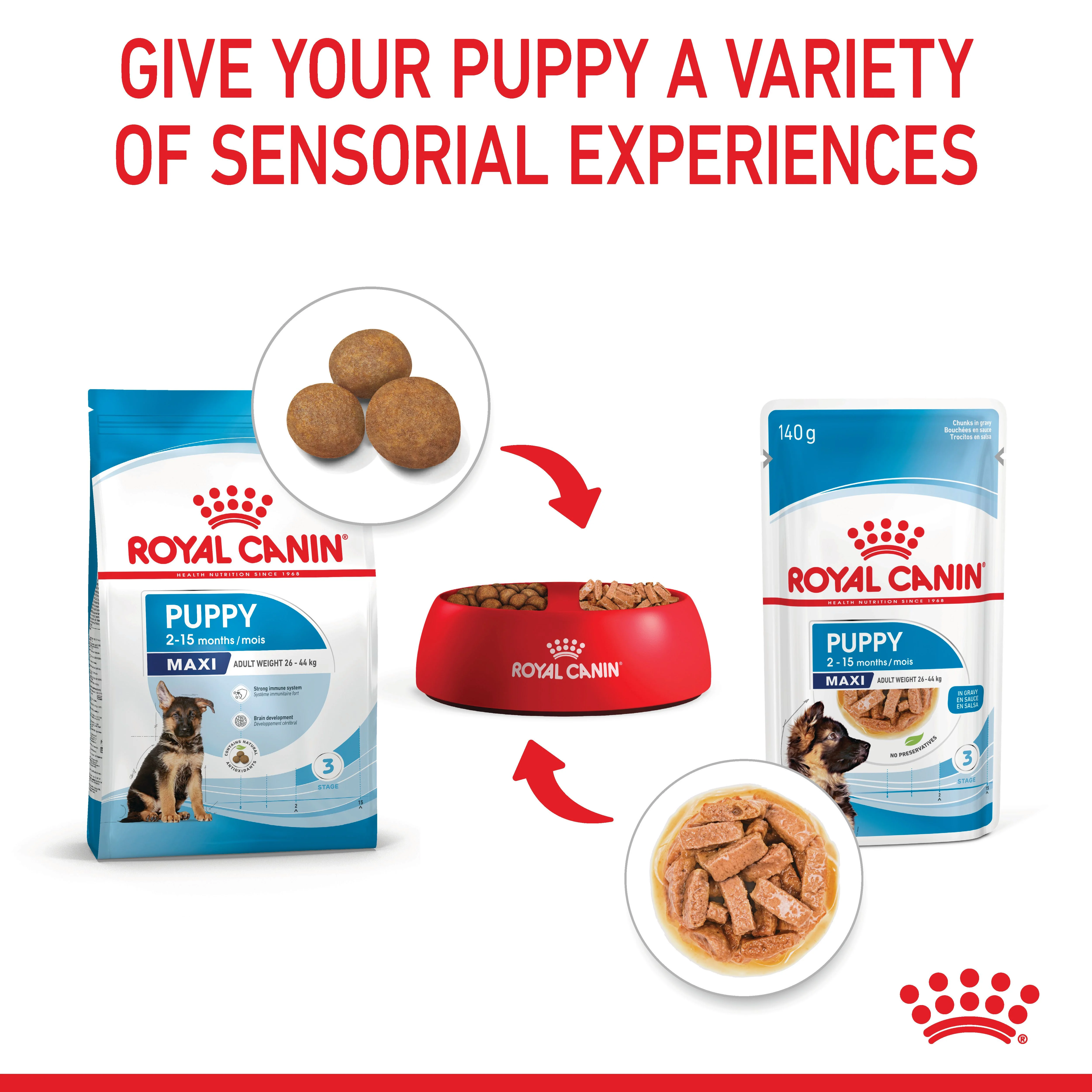 Royal Canin Maxi Puppy Wet Dog Food - Chunks in Gravy - Image 7