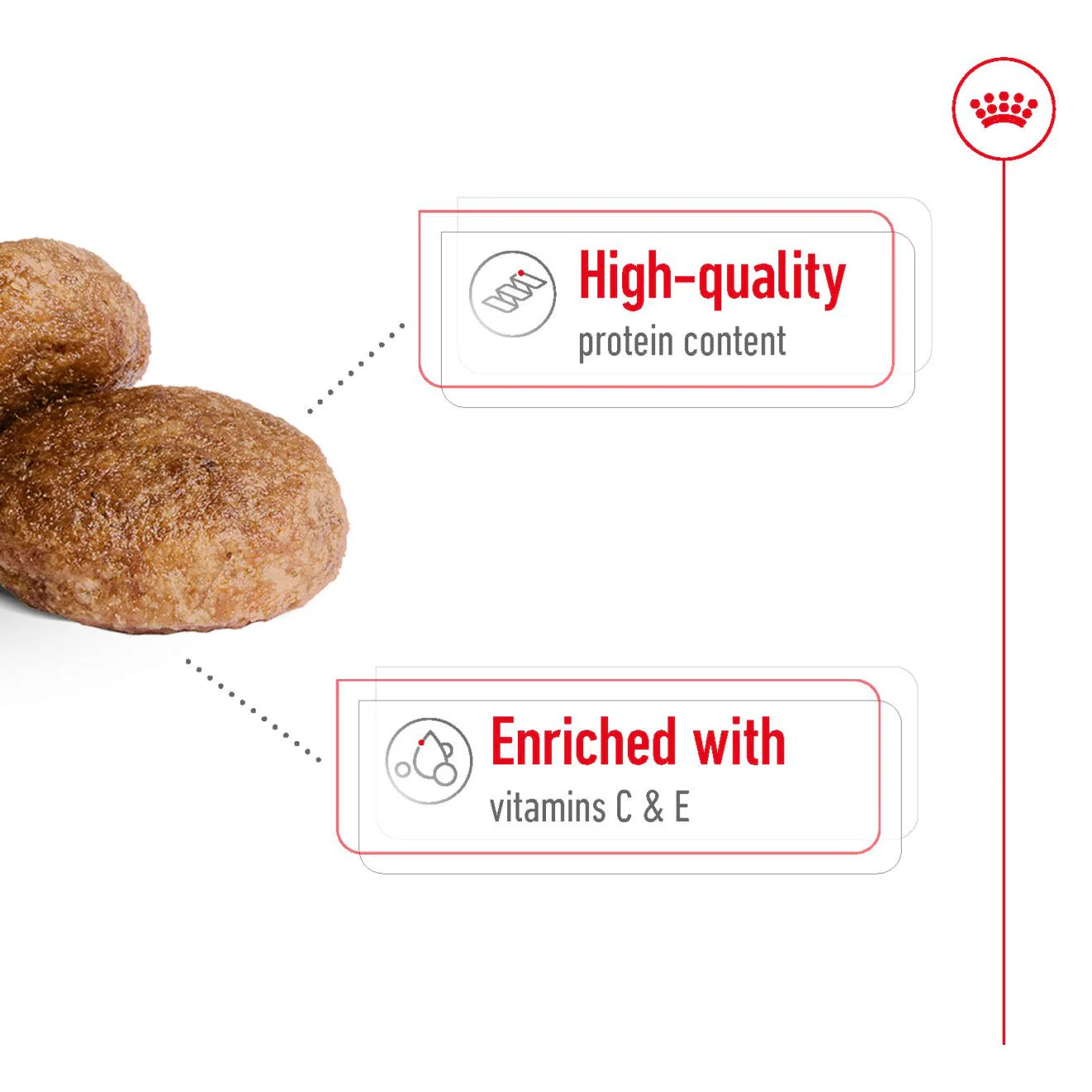 Royal Canin Medium Adult 7+ Dry Dog Food - Image 3