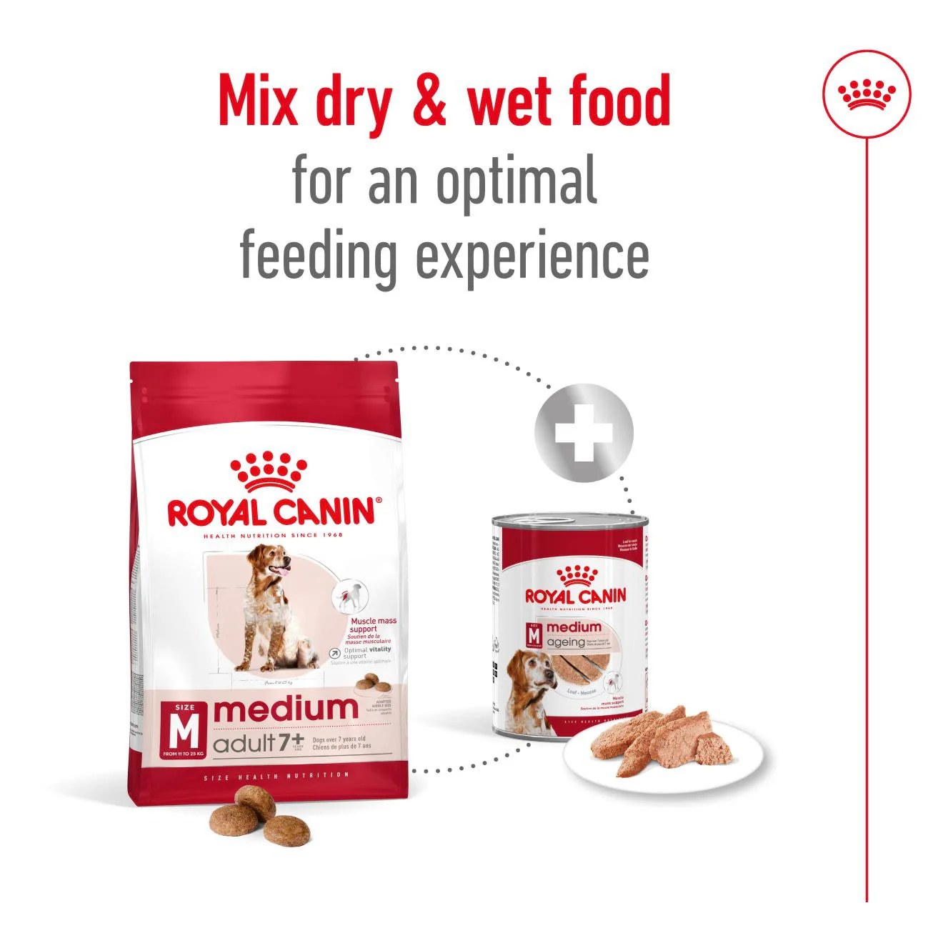 Royal Canin Medium Adult 7+ Dry Dog Food - Image 6