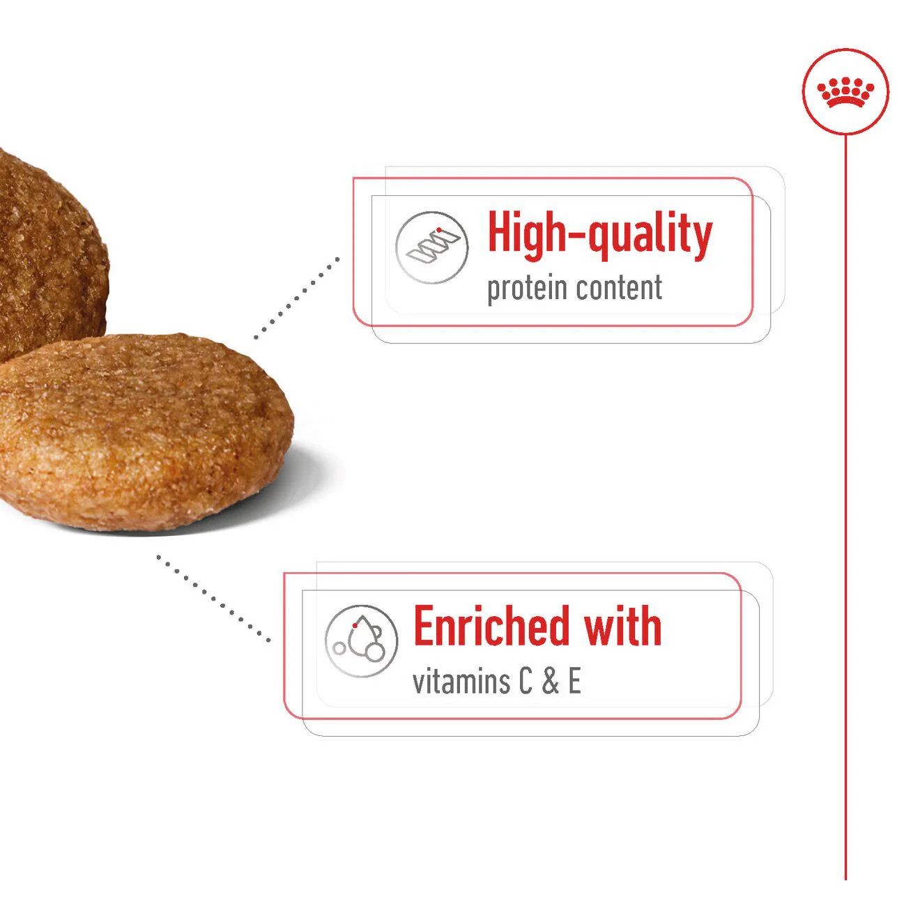 Royal Canin Medium Adult Dry Dog Food - Image 7