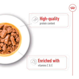 Royal Canin Medium Adult Wet Dog Food - Image 4