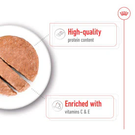 Royal Canin Medium Adult Wet Dog Food in Loaf - Image 4