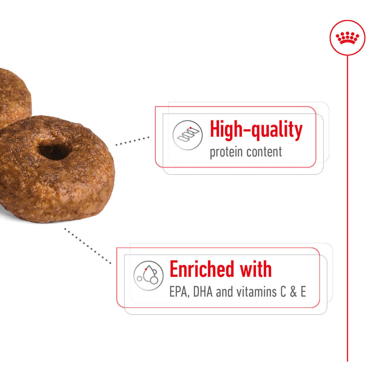 Royal Canin Medium Ageing 10+ Dry Dog Food - Image 3
