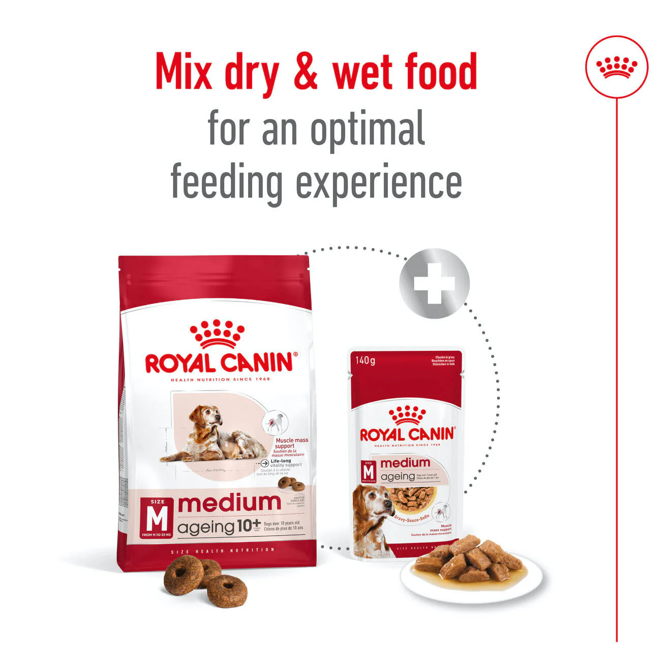 Royal Canin Medium Ageing 10+ Dry Dog Food - Image 5
