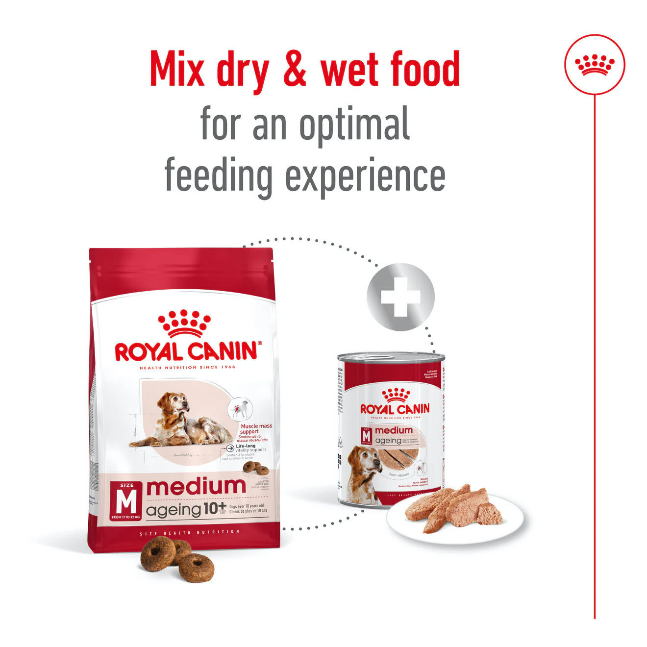 Royal Canin Medium Ageing 10+ Dry Dog Food - Image 6