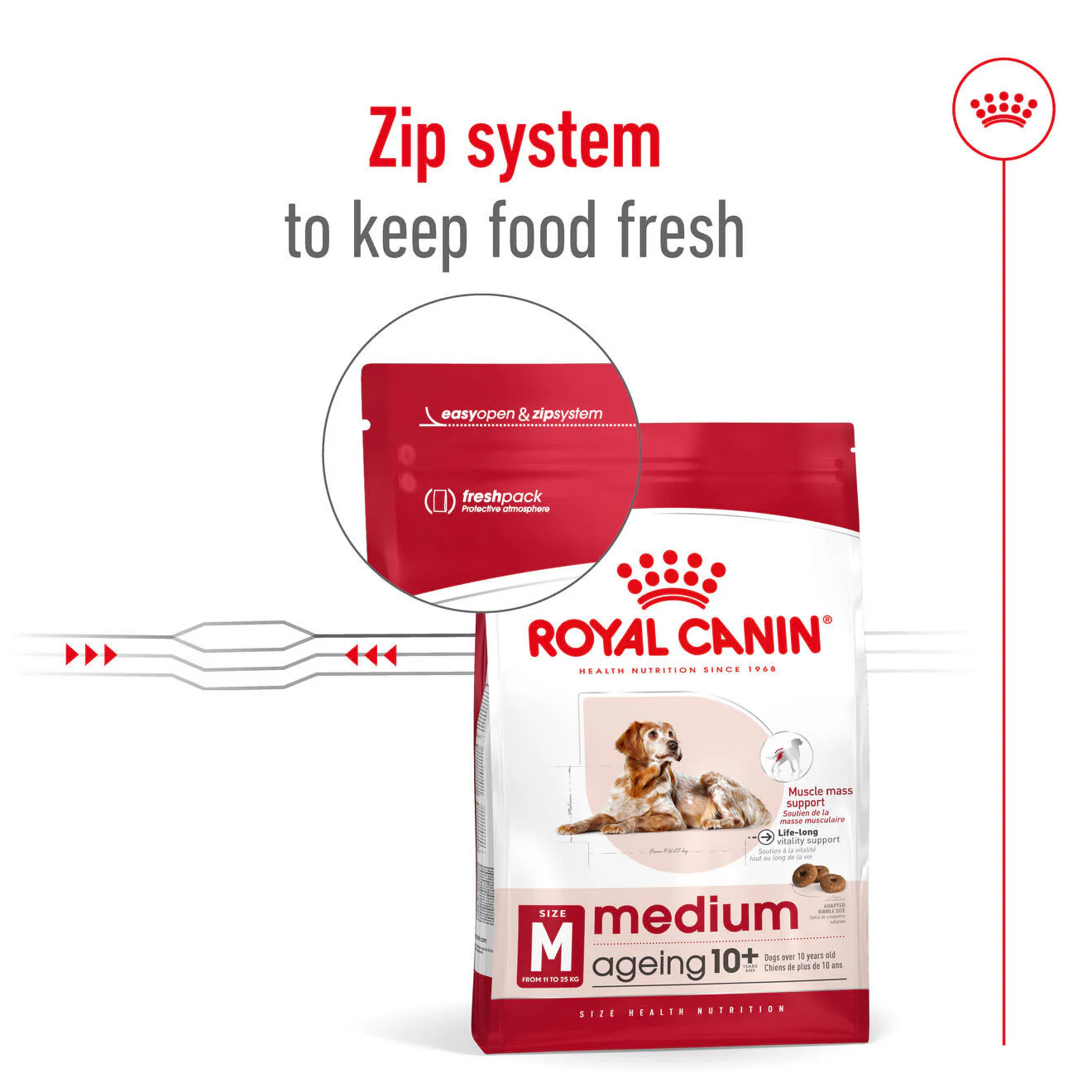 Royal Canin Medium Ageing 10+ Dry Dog Food - Image 7