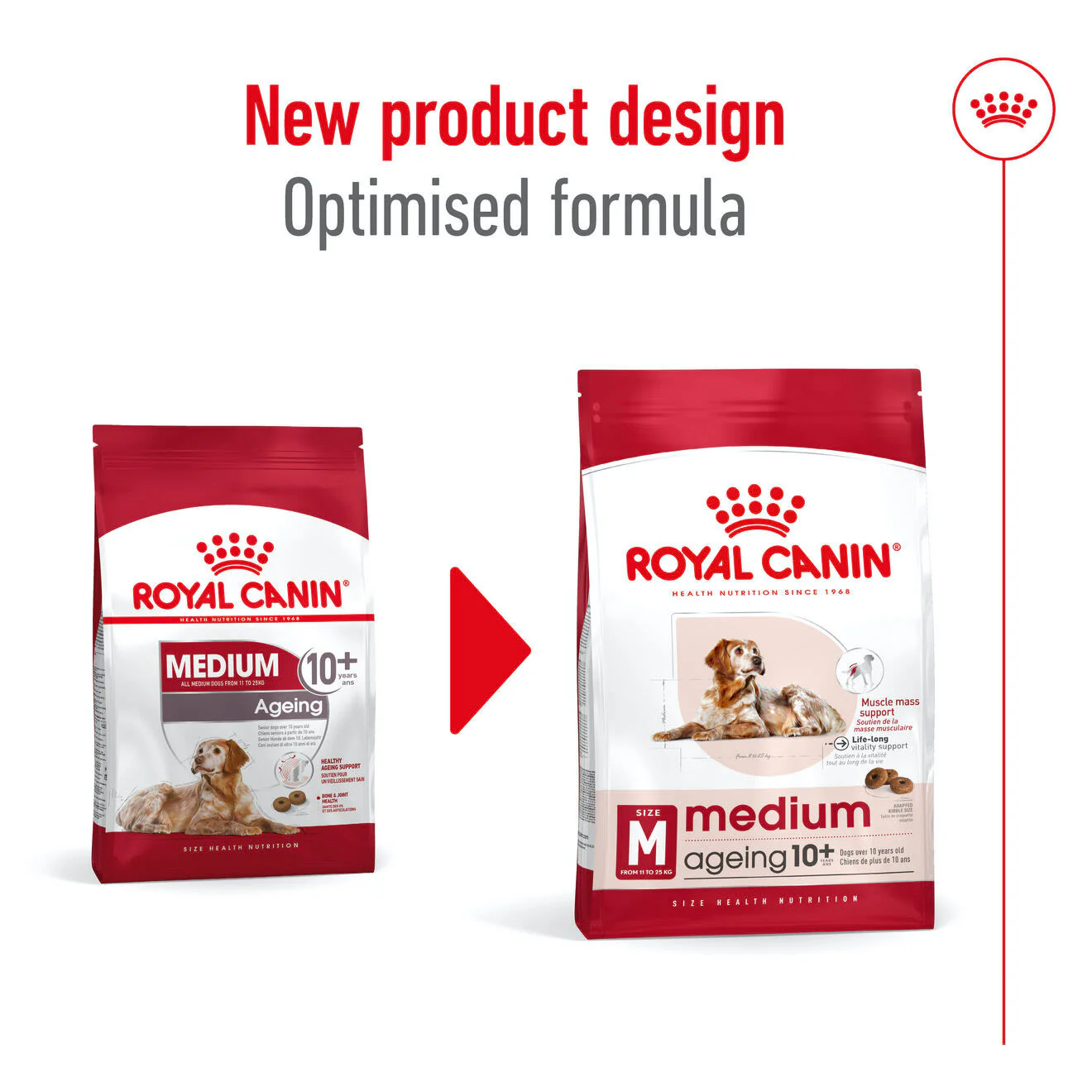 Royal Canin Medium Ageing 10+ Dry Dog Food - Image 8