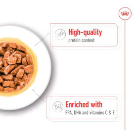 Royal Canin Medium Ageing 10+ Senior in Gravy Wet Dog Food - Image 4
