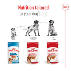 Royal Canin Medium Ageing 10+ Senior in Gravy Wet Dog Food - Image 6
