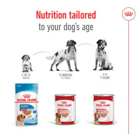 Royal Canin Medium Ageing 7+ Senior Wet Dog Food in Loaf - Image 5