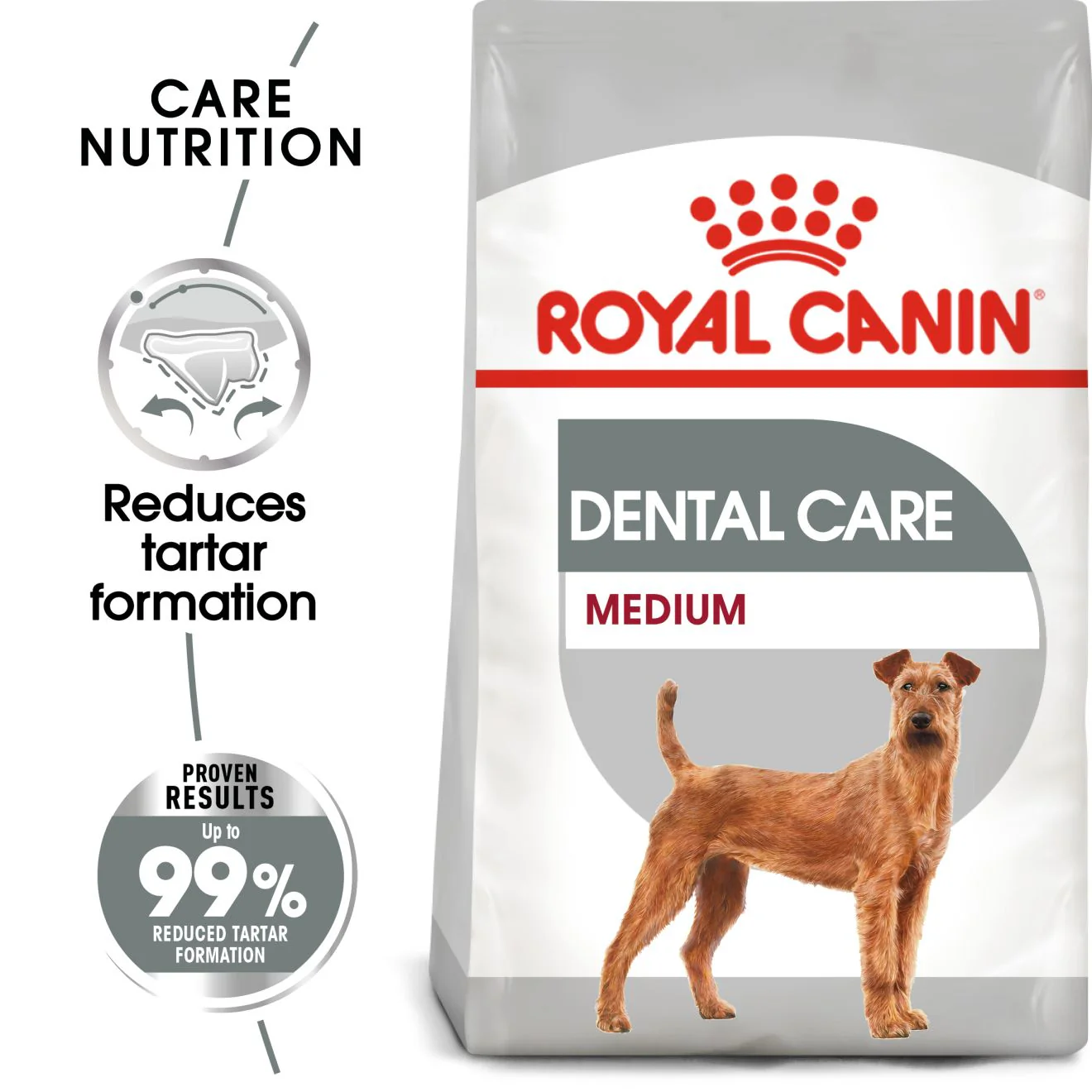 Royal Canin Medium Dental Care Adult Dry Dog Food - Image 2