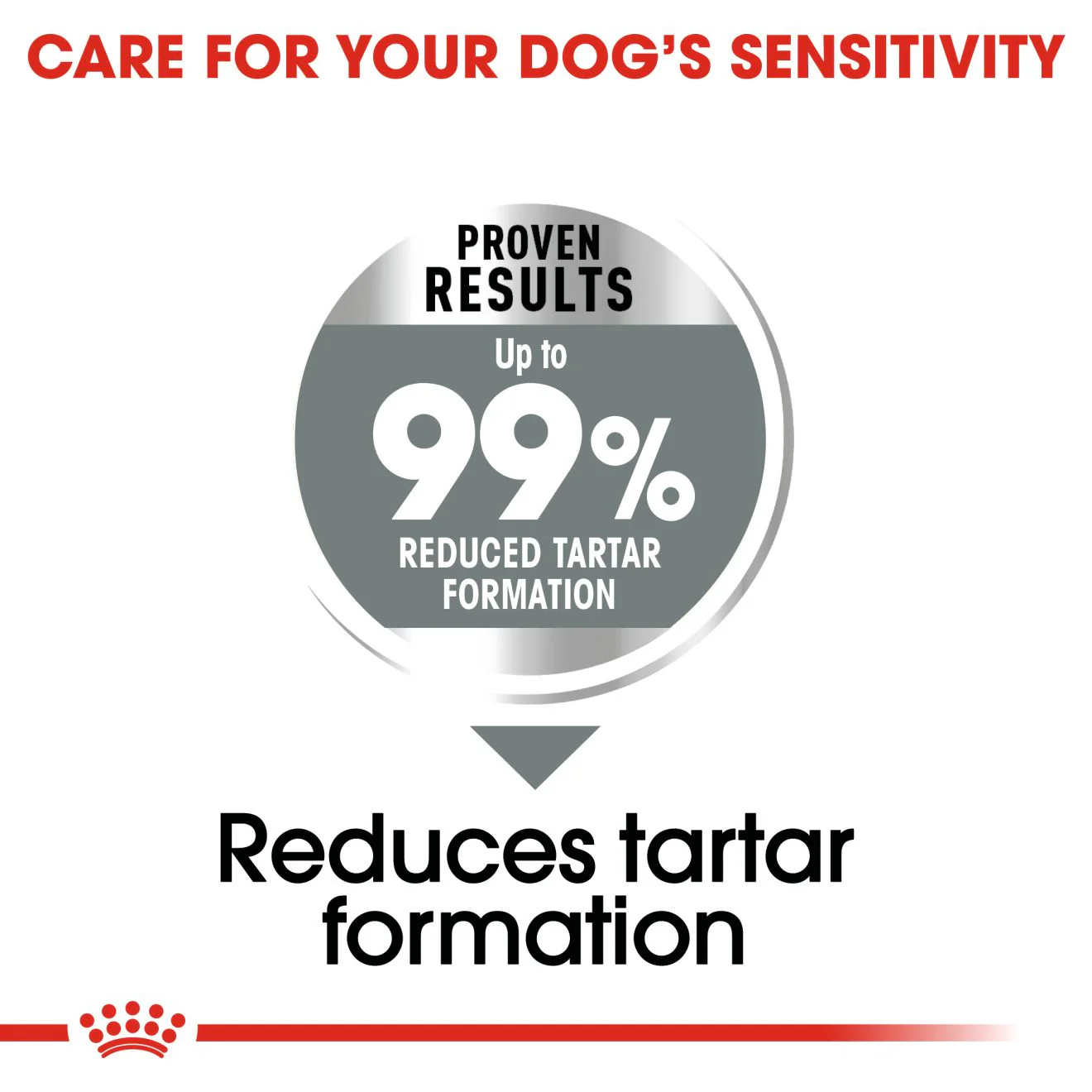 Royal Canin Medium Dental Care Adult Dry Dog Food - Image 4