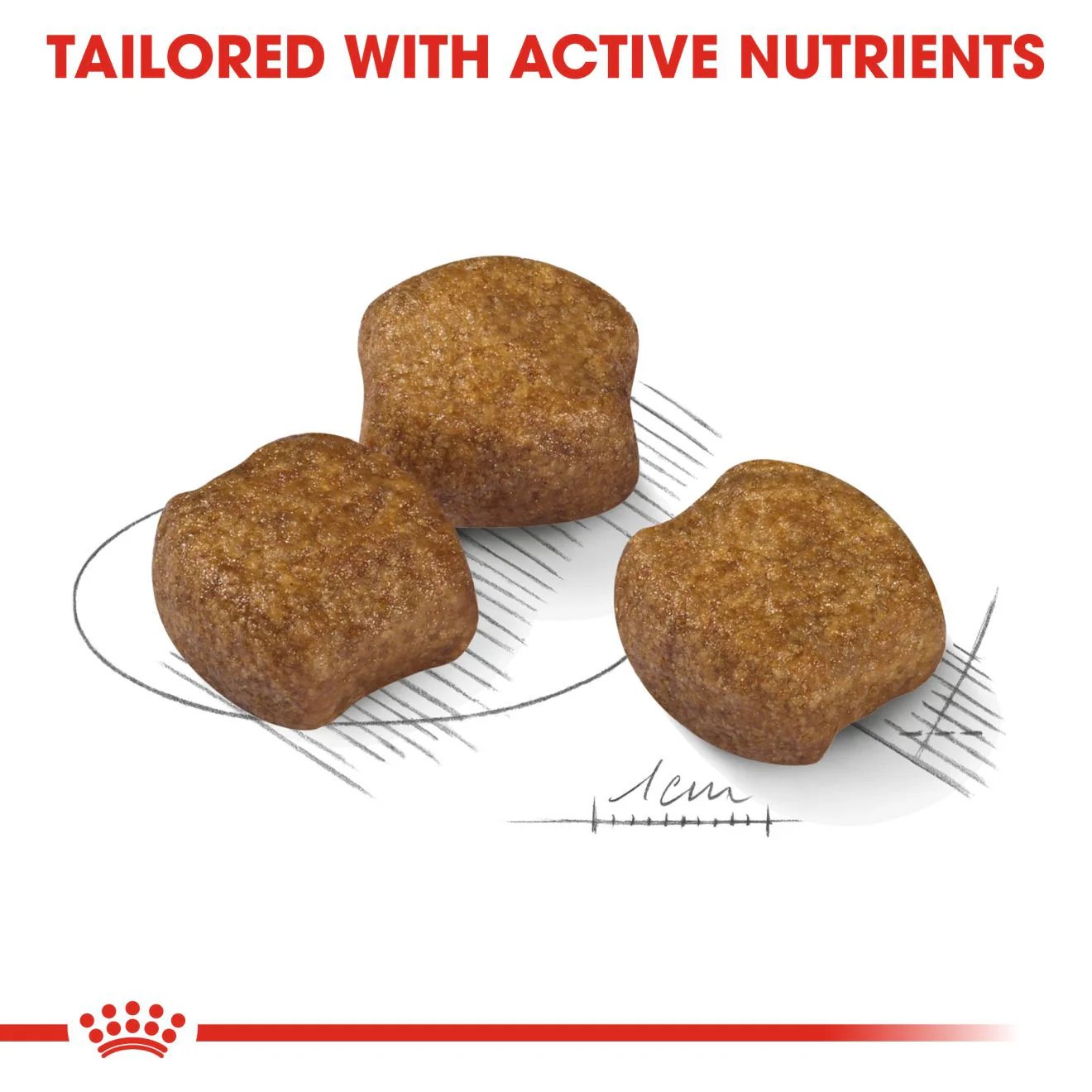 Royal Canin Medium Dental Care Adult Dry Dog Food - Image 5