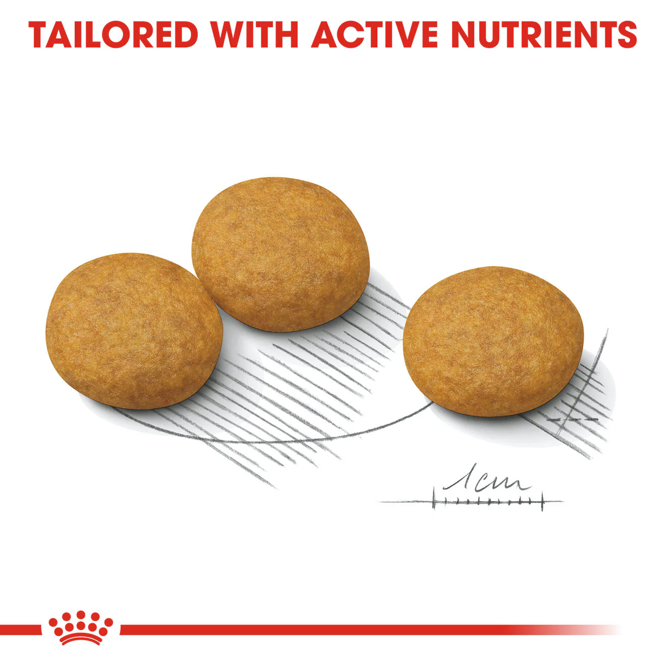Royal Canin Medium Dermacomfort Adult Dry Dog Food - Image 6