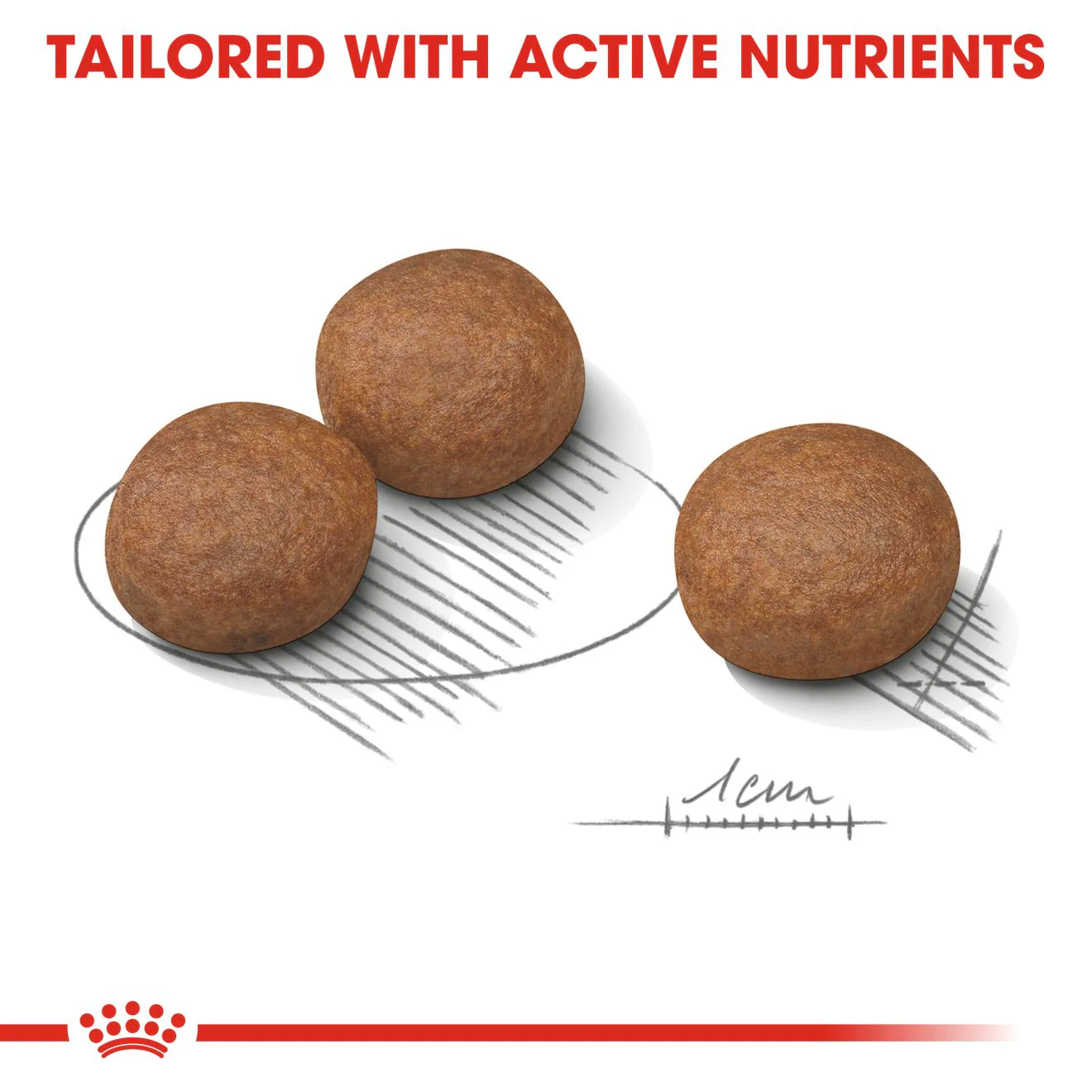 Royal Canin Medium Digestive Care Adult Dry Dog Food - Image 6
