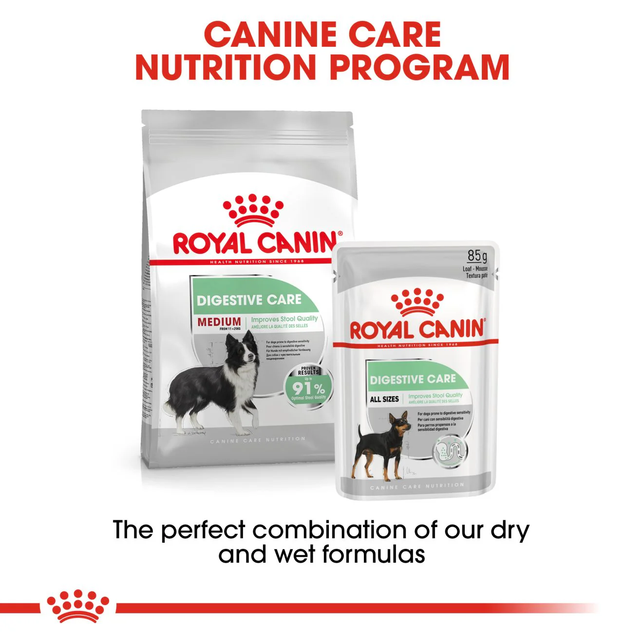 Royal Canin Medium Digestive Care Adult Dry Dog Food - Image 7