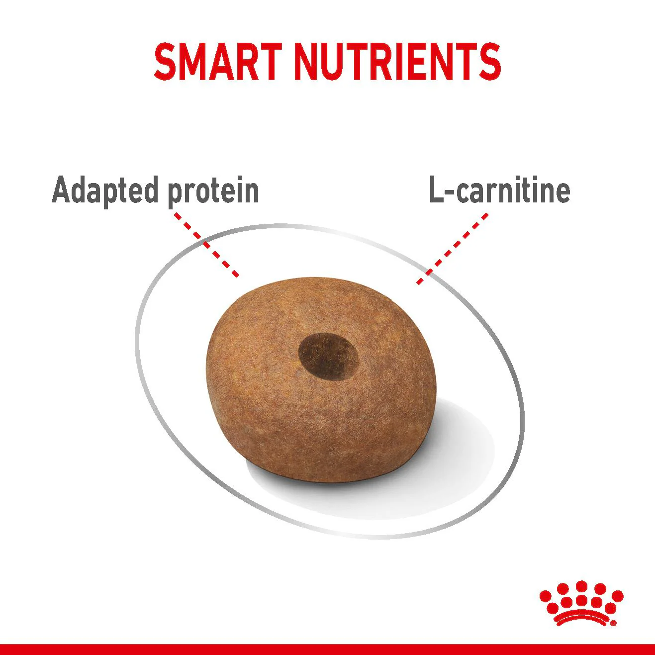 Royal Canin Medium Light Weight Care Adult Dry Dog Food - Image 5