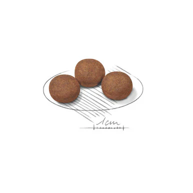 Royal Canin Medium Puppy Dry Dog Food - Image 10