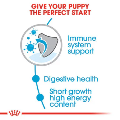 Royal Canin Medium Puppy Dry Dog Food - Image 5