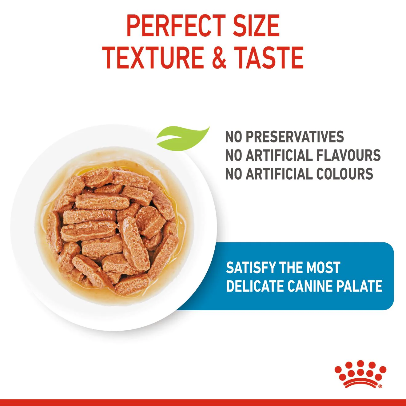 Royal Canin Medium Puppy Wet Dog Food - Chunks in Gravy - Image 4