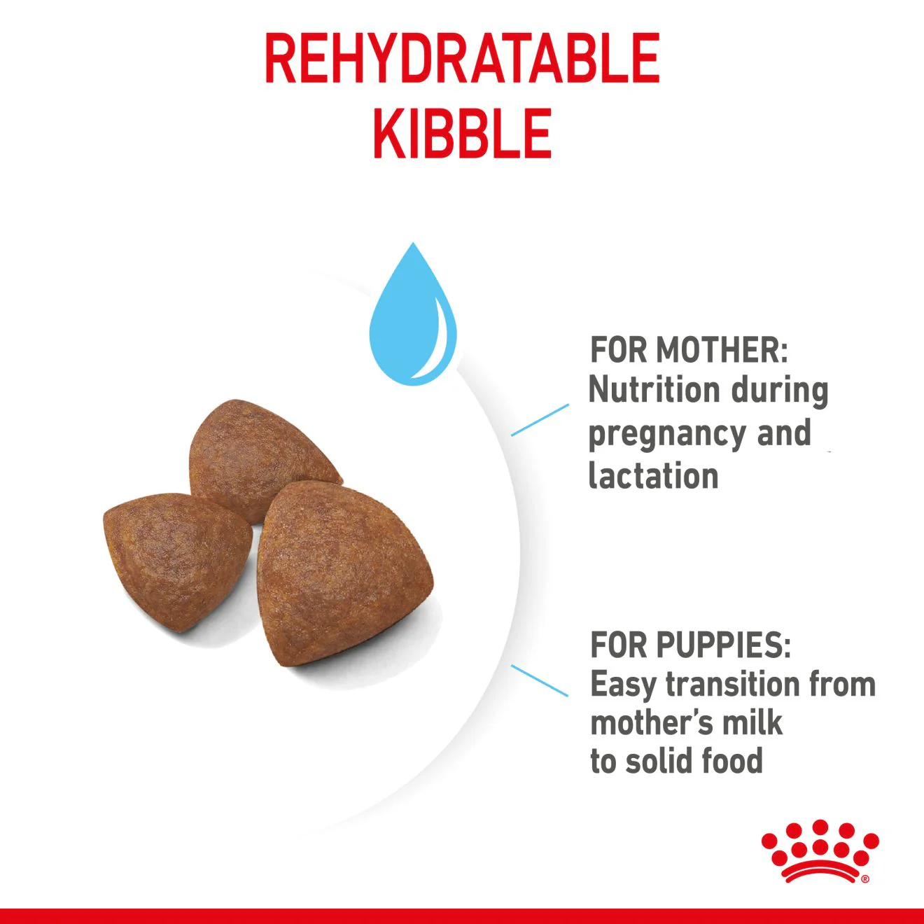 Royal Canin Medium Starter Mother & Babydog Adult/Puppy Dry Dog Food - Image 5