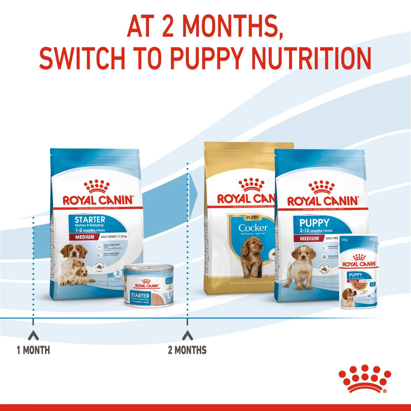 Royal Canin Medium Starter Mother & Babydog Adult/Puppy Dry Dog Food - Image 6