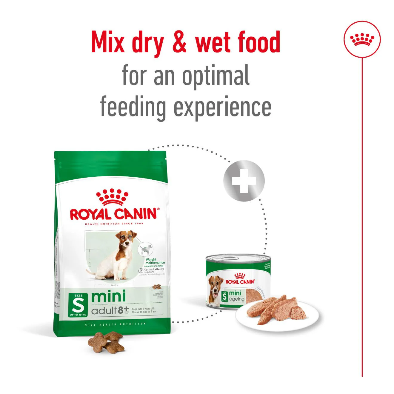 Royal Canin mini Adult 8+ Dry Dog Food - Image 5