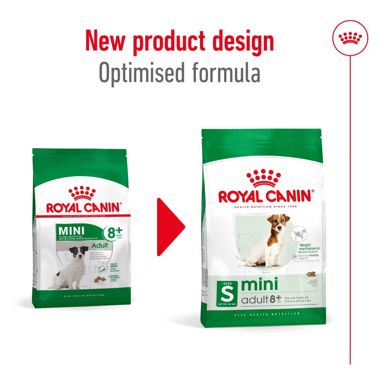 Royal Canin mini Adult 8+ Dry Dog Food - Image 8