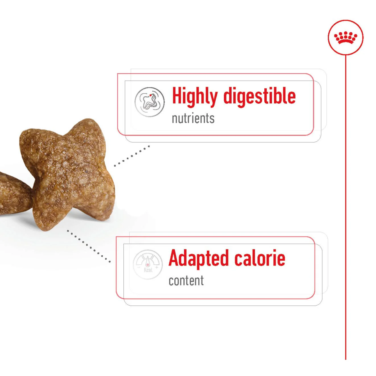 Royal Canin Mini Adult Dry Dog Food - Image 5