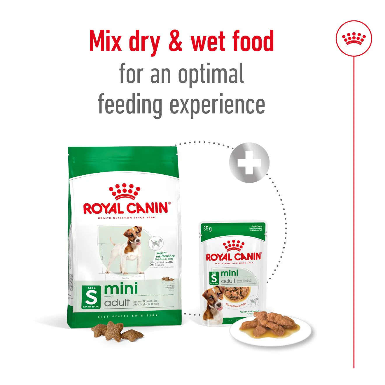 Royal Canin Mini Adult Dry Dog Food - Image 8