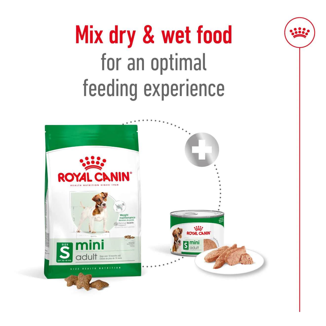 Royal Canin Mini Adult Dry Dog Food - Image 9