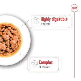 Royal Canin Mini Adult Wet Dog Food - Image 4