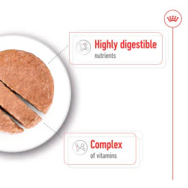 Royal Canin Mini Adult Wet Dog Food in Loaf - Image 4