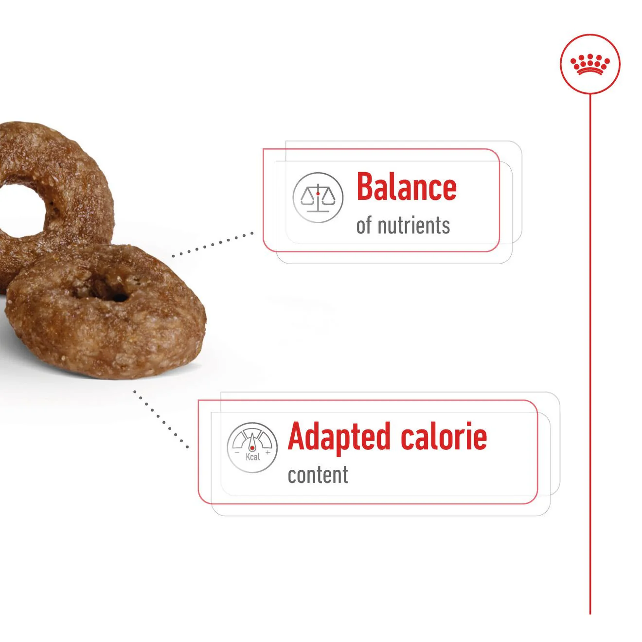 Royal Canin Mini Ageing 12+ Dry Dog Food - Image 3