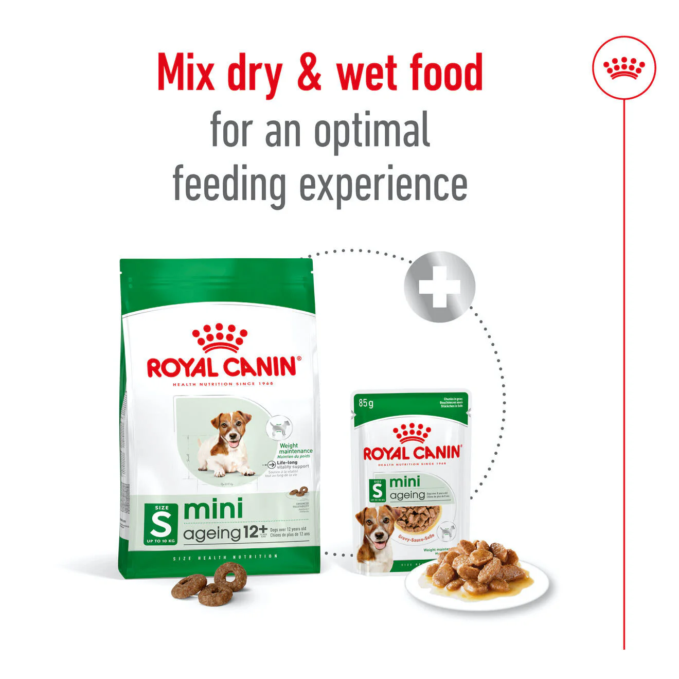 Royal Canin Mini Ageing 12+ Dry Dog Food - Image 5